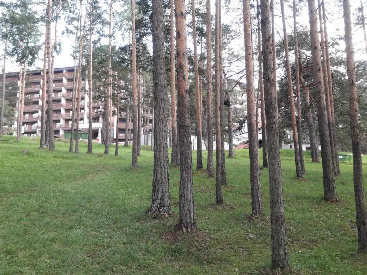 Lux Apartman Ss Zlatibor Vila Pekovic Green Eksteriør bilde
