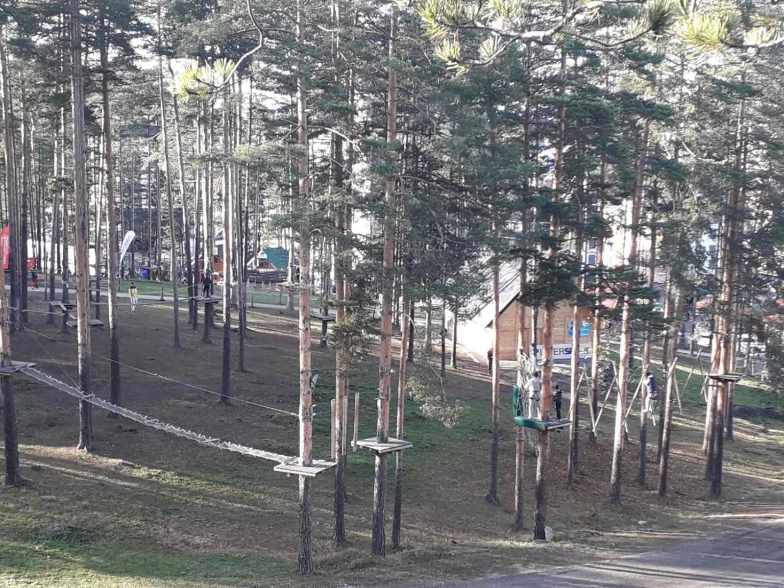 Lux Apartman Ss Zlatibor Vila Pekovic Green Rom bilde